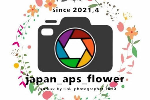 japan_aps_flower