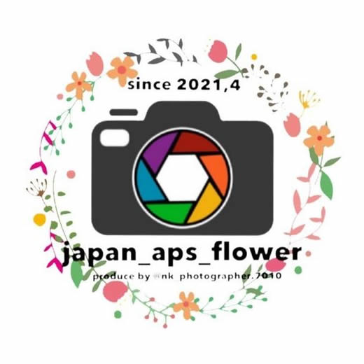 japan_aps_flower